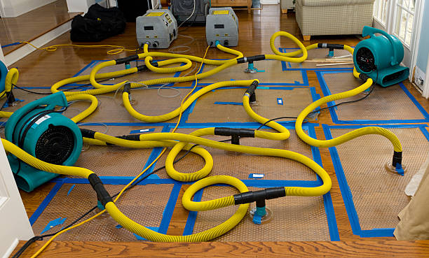 Professional Basement Flood Cleanup technician working in Gauley Bridge, WV